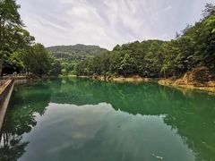 -缙云山景区