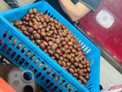 -金栗王(清扬路店)