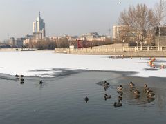 -莲花池公园