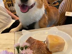 -The Rug Cafe(王府中环店)
