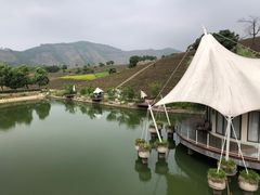 -帐篷客·溪龙茶谷度假酒店