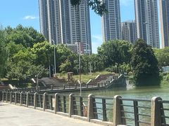 -月湖风景区