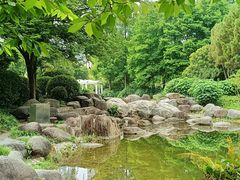 -新虹桥中心花园