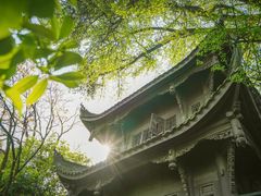 -缙云山景区