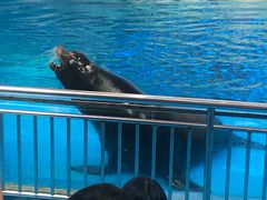 -多彩贵州城极地海洋世界