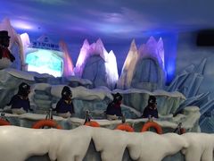 -帝企鹅自助餐厅•儿童岛•真企鹅(长隆企鹅酒店)