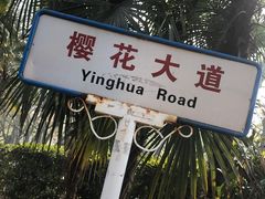-武汉大学-樱园