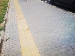-绿堤公园