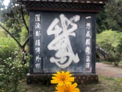-靖西鹅泉风景区