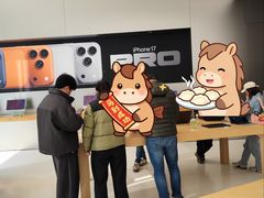 -Apple零售店(新街口店)