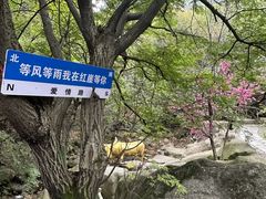 -红崖峡谷景区