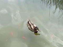 -大望京公园