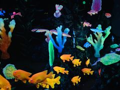 -珠海长隆海洋王国