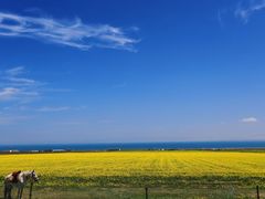 -青海湖国家重点风景名胜区