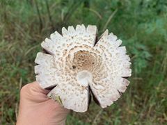 -蒲河岛湿地公园