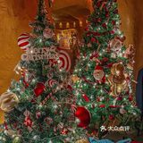 今年沈阳的圣诞节🎄，请都按照这个标准卷！