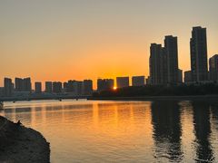 -五缘湾湿地公园