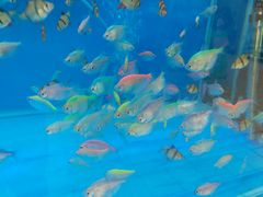 -大润发(东关世茂店)