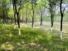 -东郊湿地公园