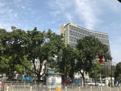 -深圳市妇幼保健院(红荔院区)