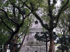 -江心屿景区