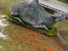 -老船夫石锅苗苗鱼·老字号(三道堰总店)