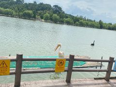 -宁波野生动物园
