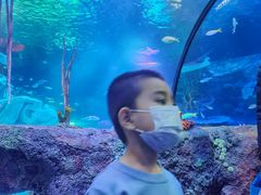 -沈阳海洋探索中心