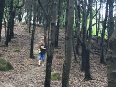 -火炉山森林公园