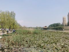 -前关湿地公园