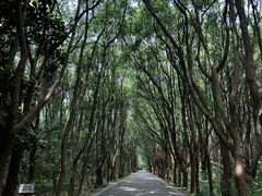 -同里国家湿地公园