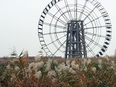 -太湖湖滨国家湿地公园-停车场