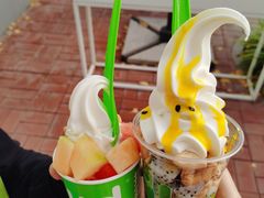 -Salud撒露欧洲冻酸奶(蓝色港湾店)