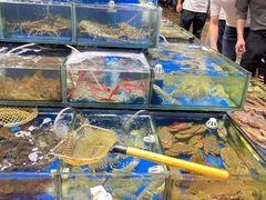 水产区-盛港湾海鲜食府(黄沙店)