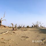 塔里木沙漠公路