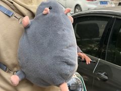 -真打拉面·日式拉面新流派(体育西横街店)