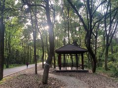 -青龙山国家森林公园