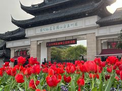 -苏州上方山国家森林公园