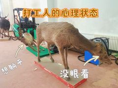 -呼和浩特博物馆