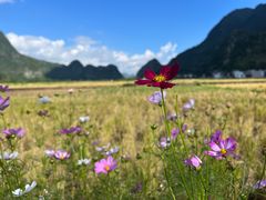 -万峰林风景区