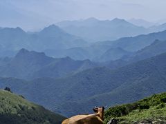 -灵山
