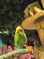 -酷嗒动物文化乐园(cutezoo西溪乐天城店)