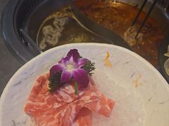 -故里和山·成都火锅(欢乐港湾店)