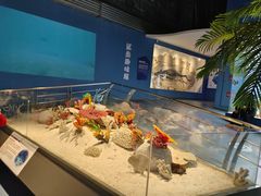 -重庆欢乐海底世界