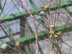 -北戴河集发农业梦想王国