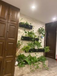 -青青一生美皮肤管理