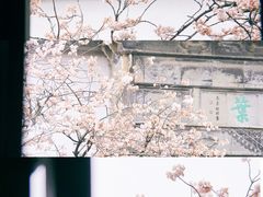 -拙政园