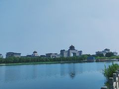 -莲花池公园