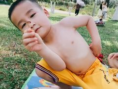 -万绿园