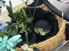 香草拿铁-Cafe Rooftop Cheongsapo